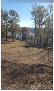 Accepted Offer In Albany, Kentucky - image 2