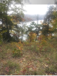 Accepted Offer In Albany, Kentucky - image 3