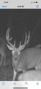 80+/- Acres Prime to Hunt • Beautiful Building for Lodging - image 37