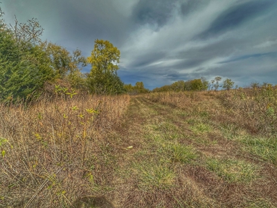 80+/- Acres Prime to Hunt • Beautiful Building for Lodging - image 16