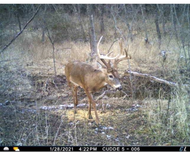 80+/- Acres Prime to Hunt • Beautiful Building for Lodging - image 38