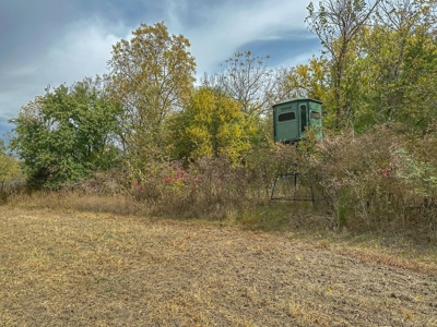80+/- Acres Prime to Hunt • Beautiful Building for Lodging - image 10