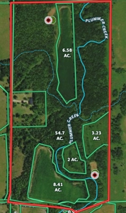 80+/- Acres Prime to Hunt • Beautiful Building for Lodging - image 30