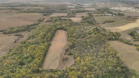 80+/- Acres Prime to Hunt • Beautiful Building for Lodging - image 4
