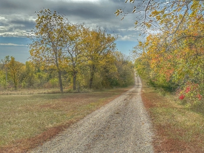 80+/- Acres Prime to Hunt • Beautiful Building for Lodging - image 19