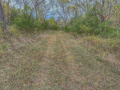 80+/- Acres Prime to Hunt • Beautiful Building for Lodging - image 18