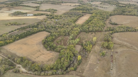 80+/- Acres Prime to Hunt • Beautiful Building for Lodging - image 28