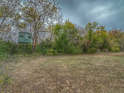 80+/- Acres Prime to Hunt • Beautiful Building for Lodging - image 11
