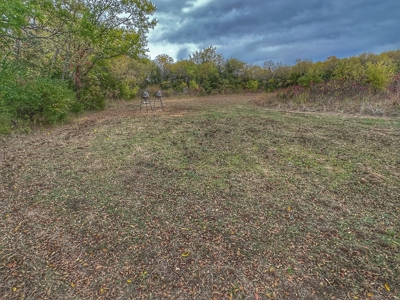 80+/- Acres Prime to Hunt • Beautiful Building for Lodging - image 13