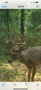 80+/- Acres Prime to Hunt • Beautiful Building for Lodging - image 36