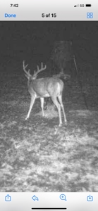 80+/- Acres Prime to Hunt • Beautiful Building for Lodging - image 35