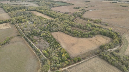 80+/- Acres Prime to Hunt • Beautiful Building for Lodging - image 26
