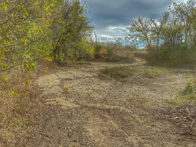80+/- Acres Prime to Hunt • Beautiful Building for Lodging - image 24