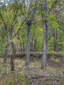 80+/- Acres Prime to Hunt • Beautiful Building for Lodging - image 15