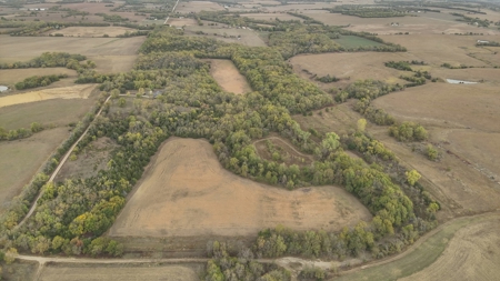 80+/- Acres Prime to Hunt • Beautiful Building for Lodging - image 1