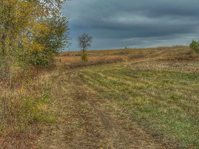 80+/- Acres Prime to Hunt • Beautiful Building for Lodging - image 17