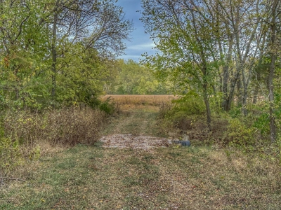80+/- Acres Prime to Hunt • Beautiful Building for Lodging - image 12
