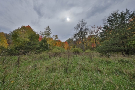 Recreational Land with Metal Building for Sale in Sauk Cty - image 26