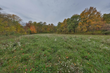 Recreational Land with Metal Building for Sale in Sauk Cty - image 31