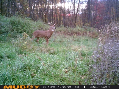 Recreational Land with Metal Building for Sale in Sauk Cty - image 38