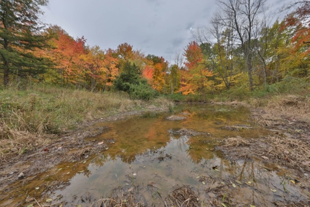 Recreational Land with Metal Building for Sale in Sauk Cty - image 29