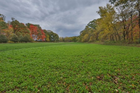 Recreational Land with Metal Building for Sale in Sauk Cty - image 25