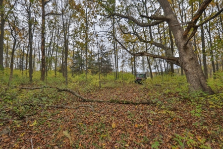 Recreational Land with Metal Building for Sale in Sauk Cty - image 34