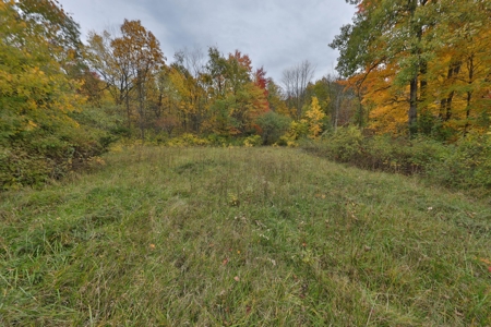 Recreational Land with Metal Building for Sale in Sauk Cty - image 27