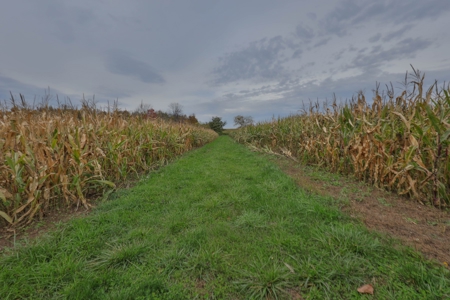 Recreational Land with Metal Building for Sale in Sauk Cty - image 32
