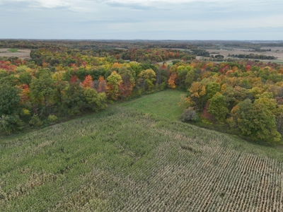 Recreational Land with Metal Building for Sale in Sauk Cty - image 46