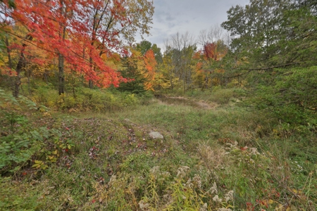 Recreational Land with Metal Building for Sale in Sauk Cty - image 30