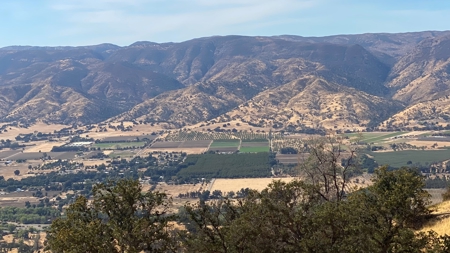 Capay Valley 160 Acres of  Hill Ground - image 10
