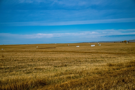Eastern Montana Irrigated Pivot Ranch For Sale - image 36