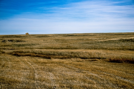 Eastern Montana Irrigated Pivot Ranch For Sale - image 34