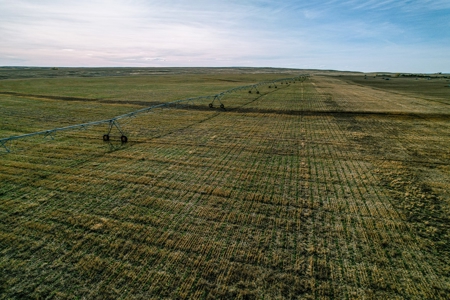 Eastern Montana Irrigated Pivot Ranch For Sale - image 19