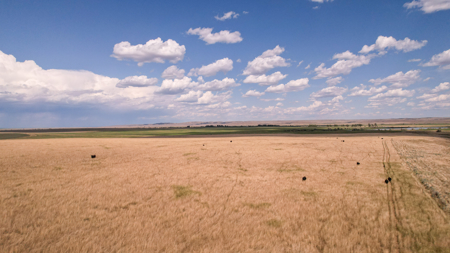 Eastern Montana Irrigated Pivot Ranch For Sale - image 44