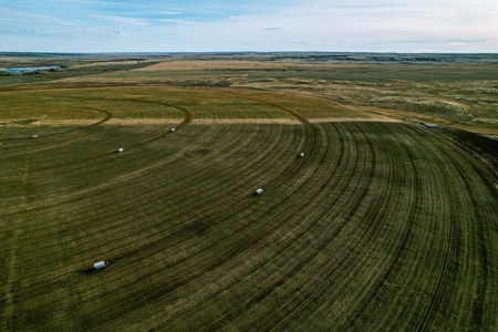 Eastern Montana Irrigated Pivot Ranch For Sale - image 11