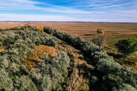 Eastern Montana Irrigated Pivot Ranch For Sale - image 4