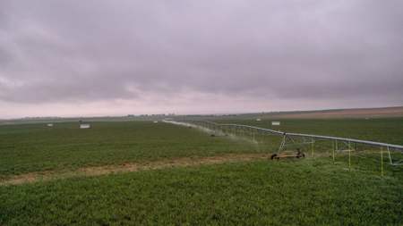 Eastern Montana Irrigated Pivot Ranch For Sale - image 38