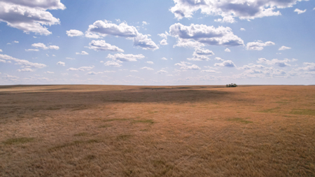 Eastern Montana Irrigated Pivot Ranch For Sale - image 46