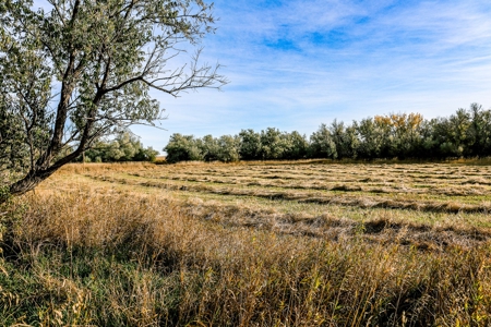 Eastern Montana Irrigated Pivot Ranch For Sale - image 49
