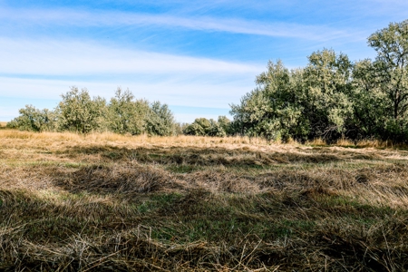 Eastern Montana Irrigated Pivot Ranch For Sale - image 23