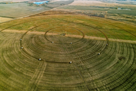 Eastern Montana Irrigated Pivot Ranch For Sale - image 9