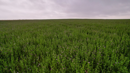 Eastern Montana Irrigated Pivot Ranch For Sale - image 47