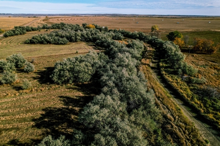 Eastern Montana Irrigated Pivot Ranch For Sale - image 3