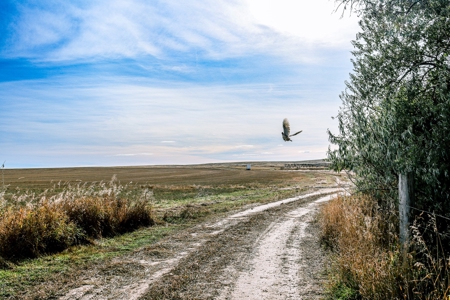 Eastern Montana Irrigated Pivot Ranch For Sale - image 25