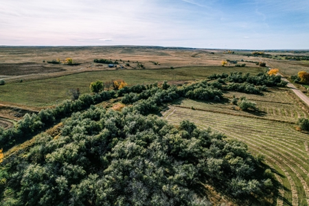 Eastern Montana Irrigated Pivot Ranch For Sale - image 5