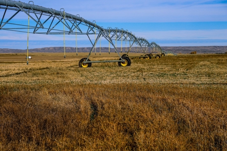 Eastern Montana Irrigated Pivot Ranch For Sale - image 40