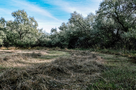 Eastern Montana Irrigated Pivot Ranch For Sale - image 22