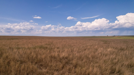 Eastern Montana Irrigated Pivot Ranch For Sale - image 50